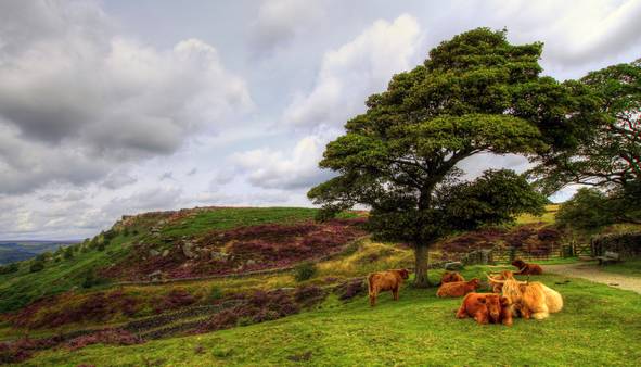 Curbar Edge - © Ian Foster / fozimage Curbar Edge - © Ian Foster / fozimage