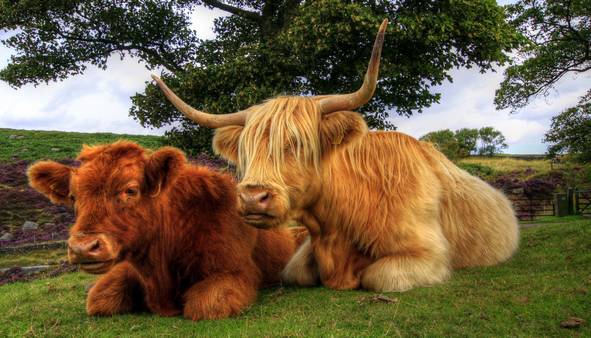 Curbar Edge - © Ian Foster / fozimage Curbar Edge - © Ian Foster / fozimage