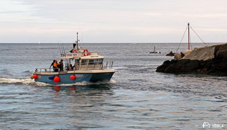 BM91 Lily Lola © Ian Foster / fozimage 1st August 2015 - BM91 Lily Lola © Ian Foster / fozimage