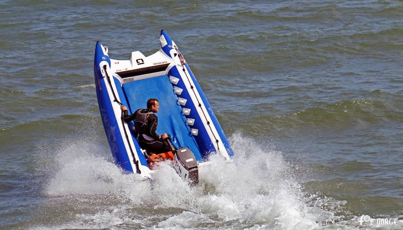 Zapcat © Ian Foster / fozimage 2nd August 2015 - Zapcat © Ian Foster / fozimage