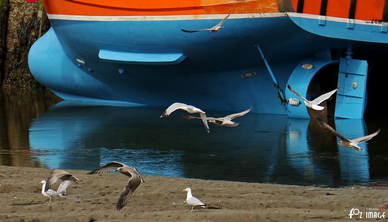 River reflections © Ian Foster / fozimage 3rd August 2015 - River reflections © Ian Foster / fozimage